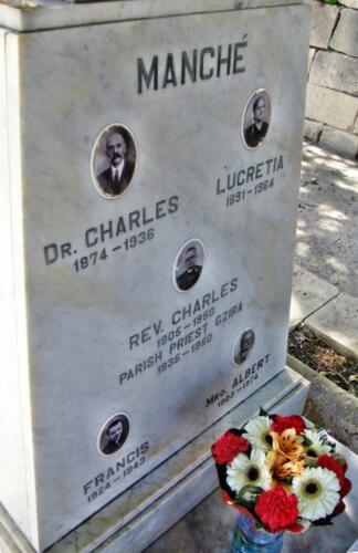 Manche-grave-2010-closeup900-663x1024